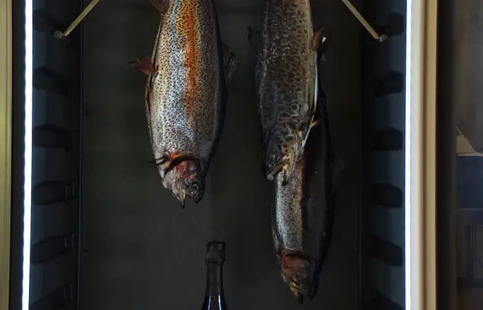 Drei Fische hängen an Haken in einem Trockenschrank, darunter steht eine Flasche Dom Pérignon Champagner.