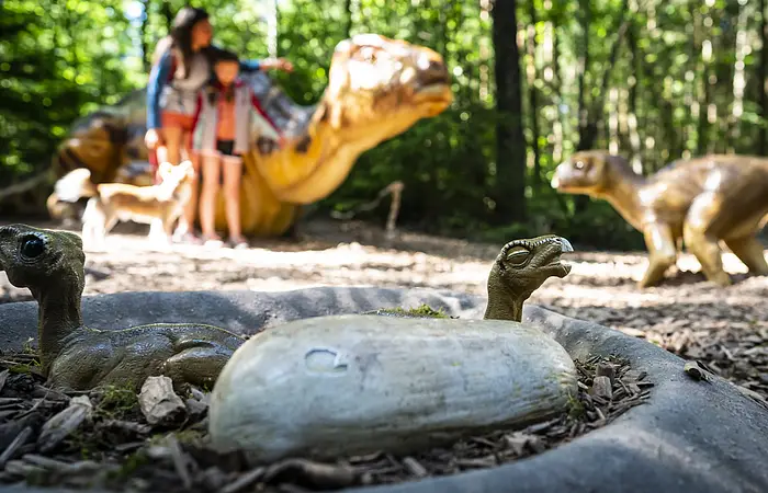 Im Außengelände des Dinosauriermuseum Denkendorf beobachten Kinder die ausgestellten Dinosaurier.