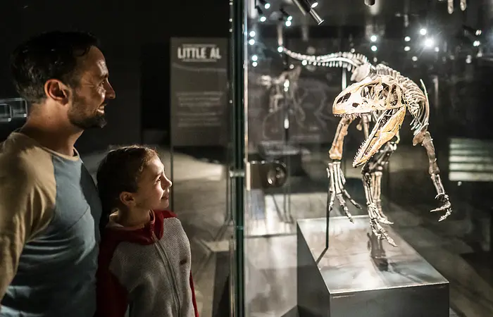 Ein Vater mit Kind schauen sich einen kleinen ausgestellten Dinosaurier in einer Vitrine an.