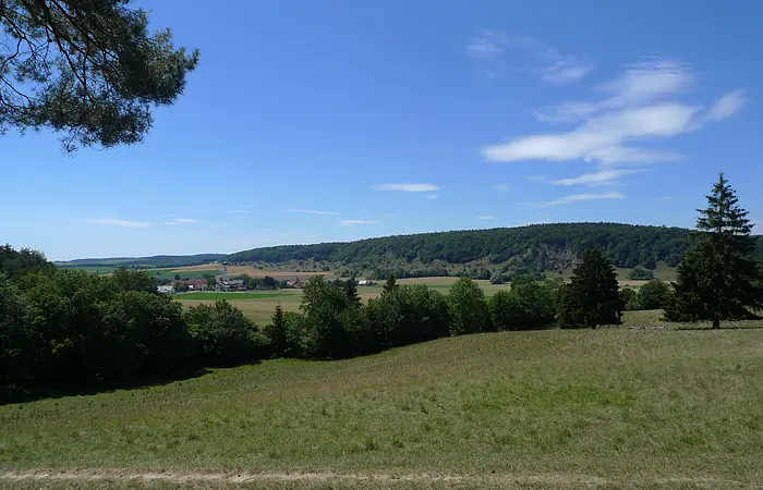 Grüne Wiesen und Bäume sieht man bei dem Ausblick über die Mauerner Höhlen.