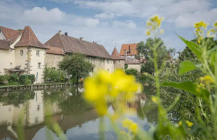 Historische Häuser mit roten Dächern am Flussufer, im Vordergrund unscharfe gelbe Blumen und grüne Pflanzen.