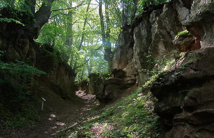 Der Wanderweg führt durch Felshänge, die mitten im Wald liegen und ihr Blätterdach den Himmel verdeckt.