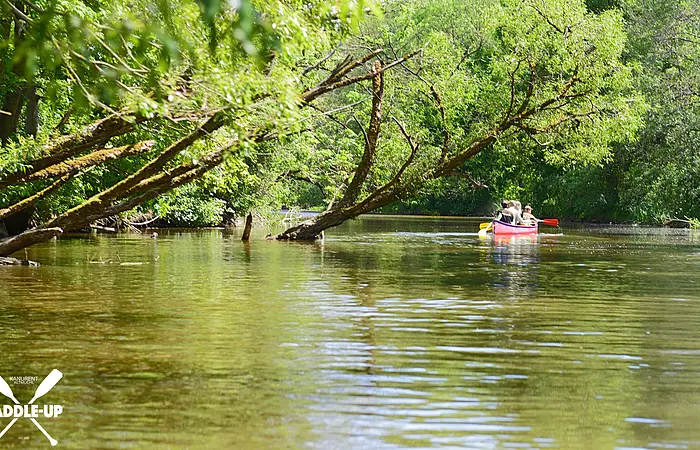 Fluss mit grünem Ufer und drei Personen in einem roten Kanu, die paddeln.