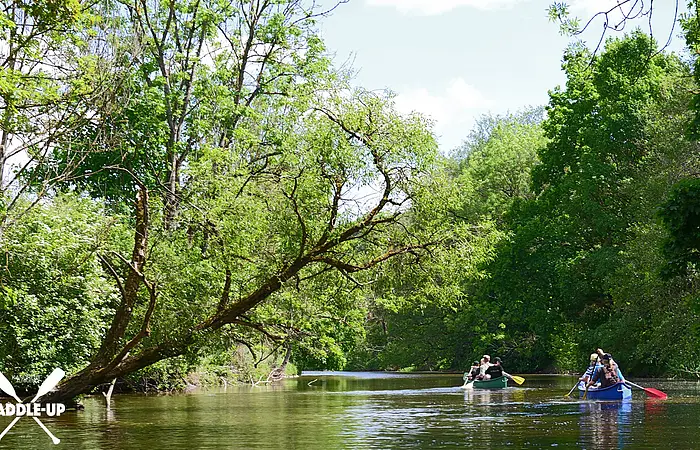 Fluss mit grünen Bäumen an den Ufern und zwei Kanus mit Personen beim Paddeln.