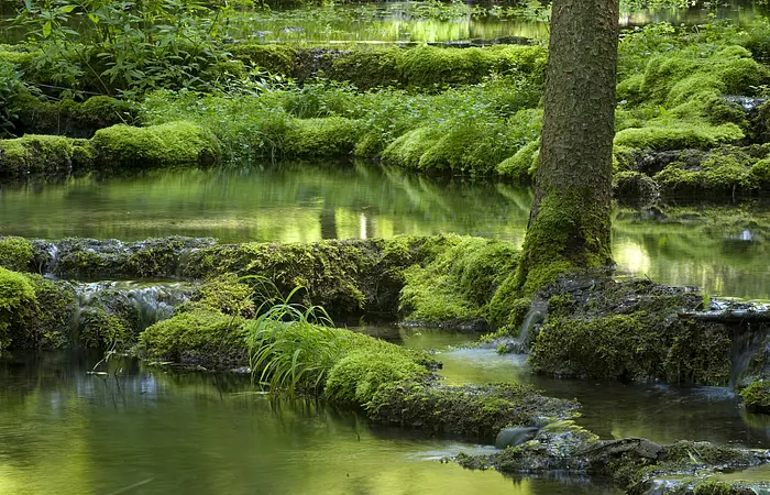 Kalksinterterrassen Kaisinger Tal