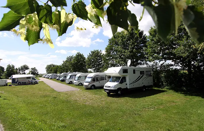 Wohnmobile aufgereiht auf der rechten Seite umrahmt von einem grünen Zweig und Gras.