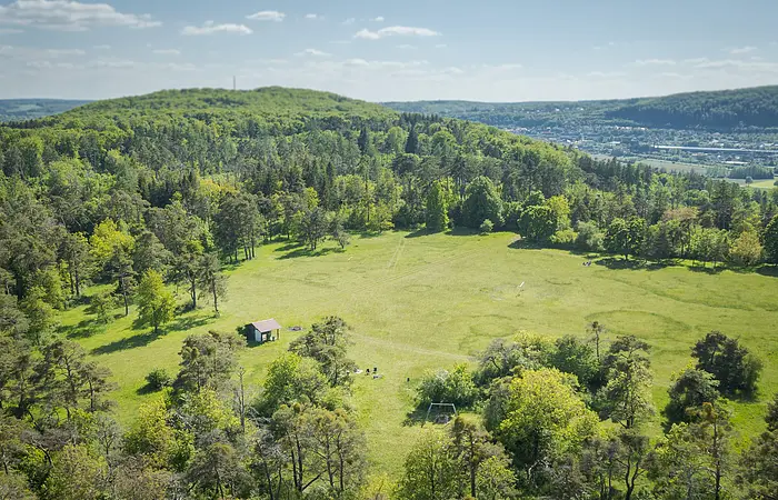 Luftaufnahme eines kleinen Hauses auf einer Wiese. Großer Weitblick mit viel Wald und Grün.
