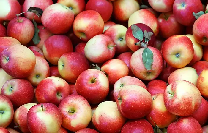 Äpfel
