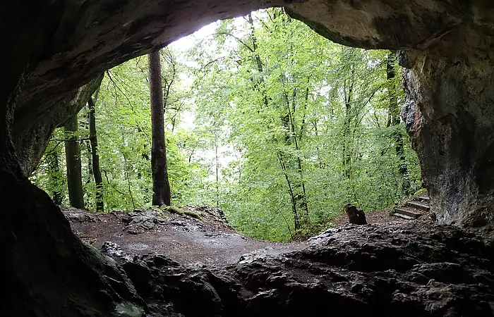 Bild der Haupthöhle mit Blick nach außen in den Wald