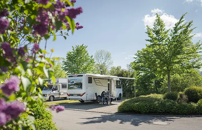 Wohnmobil im Hintergrund auf dem Stellplatz. Pärchen sitzt davor und im Vordergrund ein blühender Busch