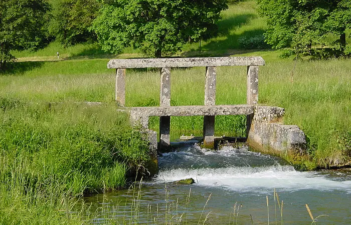 Ein Schwall an der Laber zwischen Dietfurt und Breitenbrunn