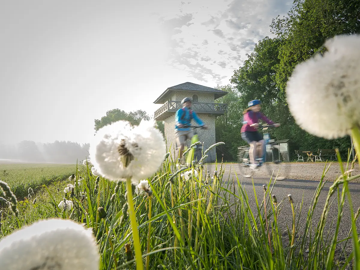 Radfahrer am Limes-Radweg beim Limesturm Erkertshofen Zwei Radfahrer, eine Frau und ein Mann, fahren den Limesturm vorbei. Beide tragen einen Fahrradhelm. Im Vordergrund sind einige Pusteblumen im Gras zu sehen. Der Himmel ist bewölkt.