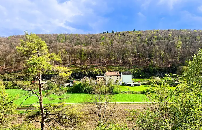 Landschaft mit grünen Feldern, Bäumen und einem Gebäude vor einem bewaldeten Hügel.