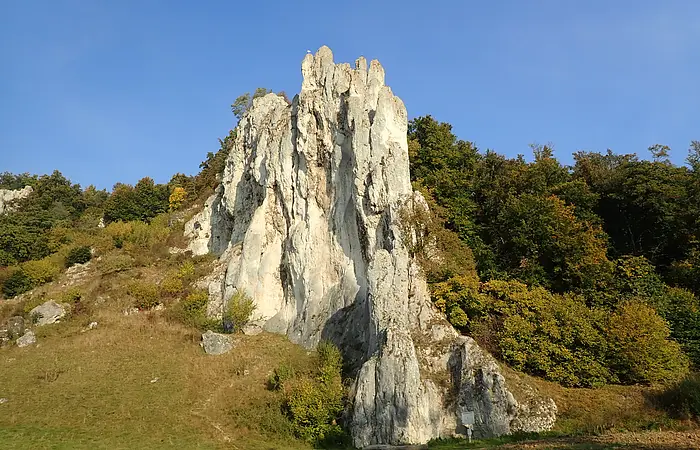 Der Dohlenfelsen inmitten grüner Wiesen und Bäumen. Der Himmel strahlt wolkenlos.