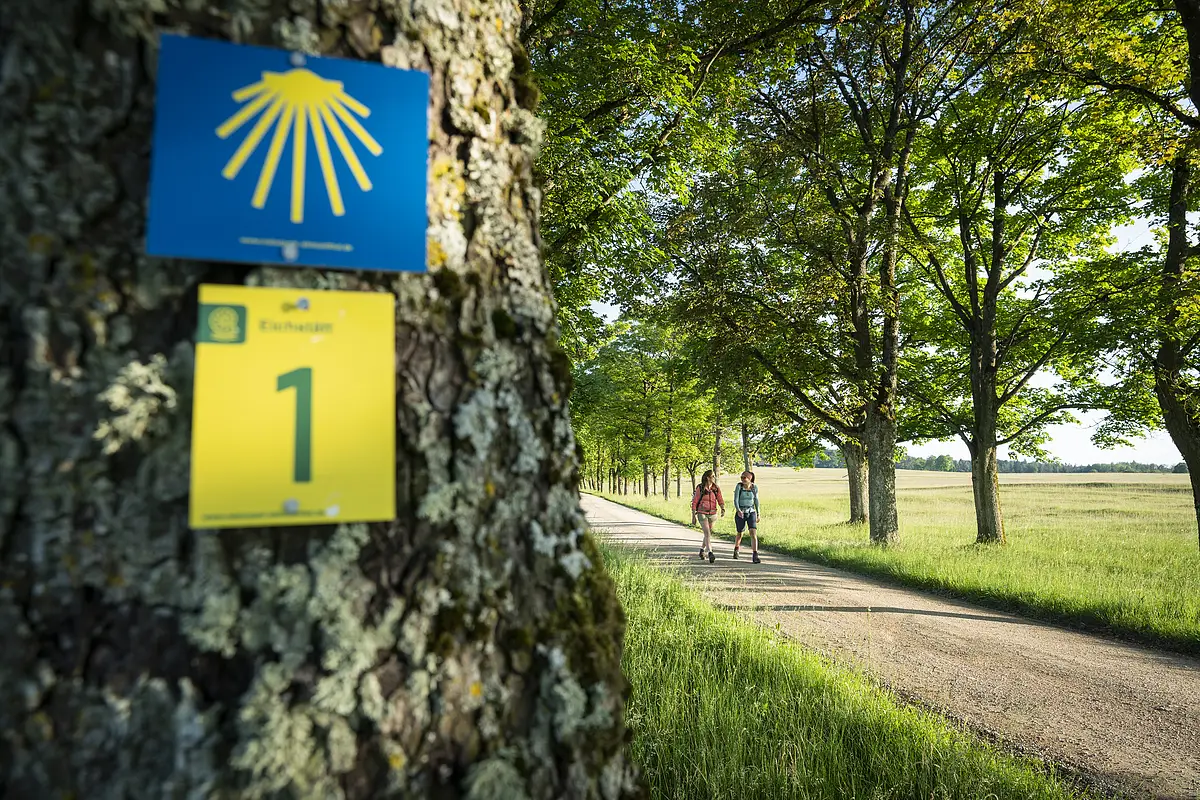Wanderer am Frauenberg Eichstätt Zwei Wanderer sind am Frauenberg unterwegs. Rechts hängen an einem Baum zwei Wanderwegschilder, die den Weg weisen.