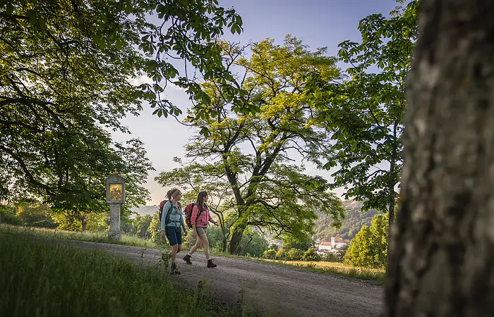 Zwei Wanderer mit Rucksäcken gehen auf einem Waldweg, umgeben von Bäumen und grüner Landschaft.