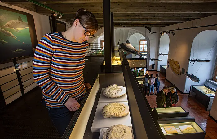 JuraMuseum Eichstätt auf der Willibaldsburg