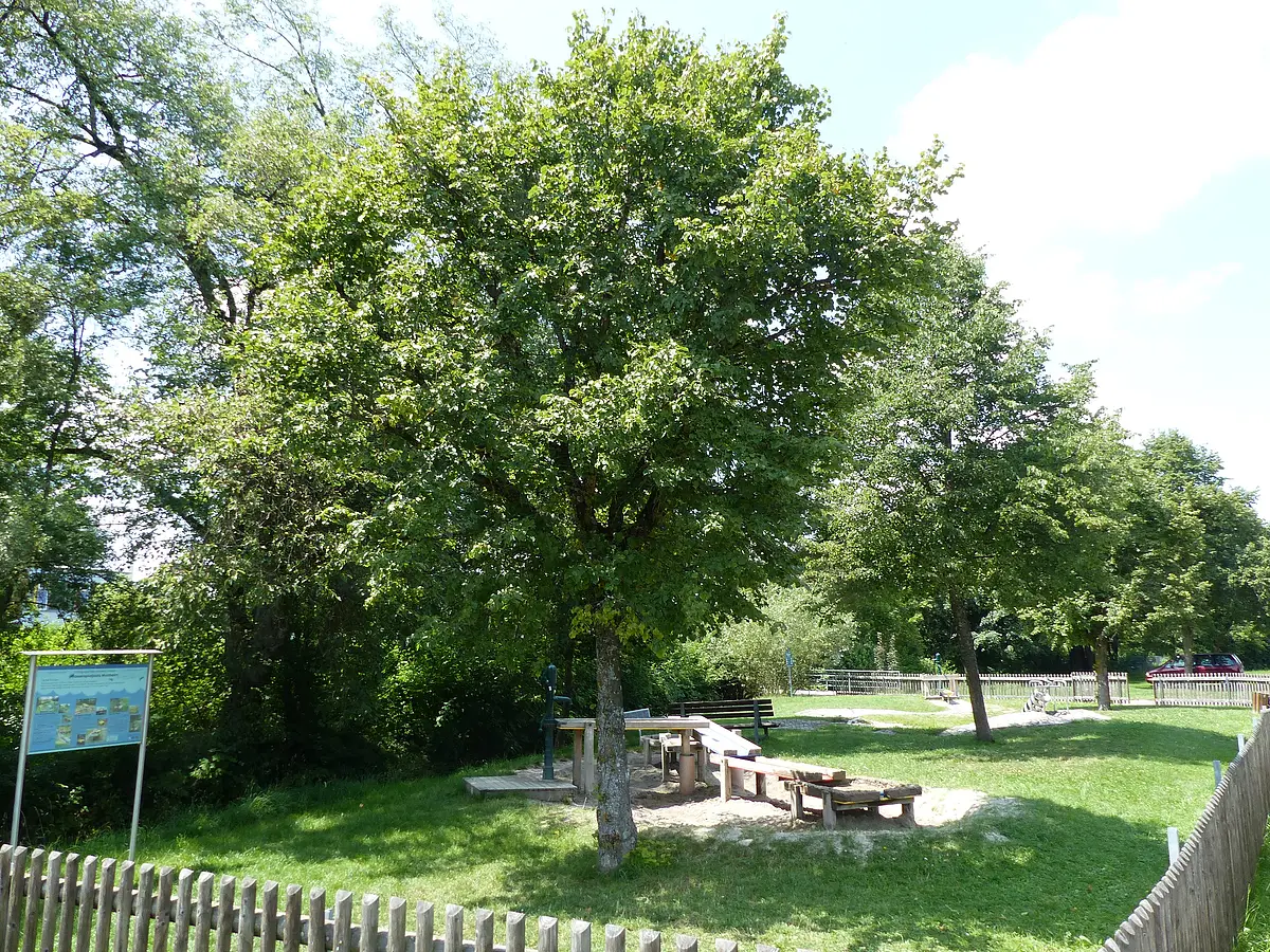 Pädagogischer Wasserspielplatz Monheim Wasserspielplatz mit Sand, Holztischen und Bänken, umgeben von Bäumen und einem Holzzaun. Informationstafel links.
