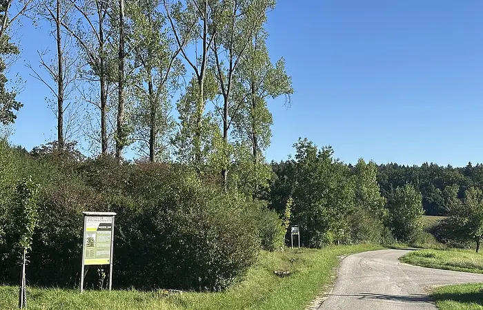 Baumartenallee