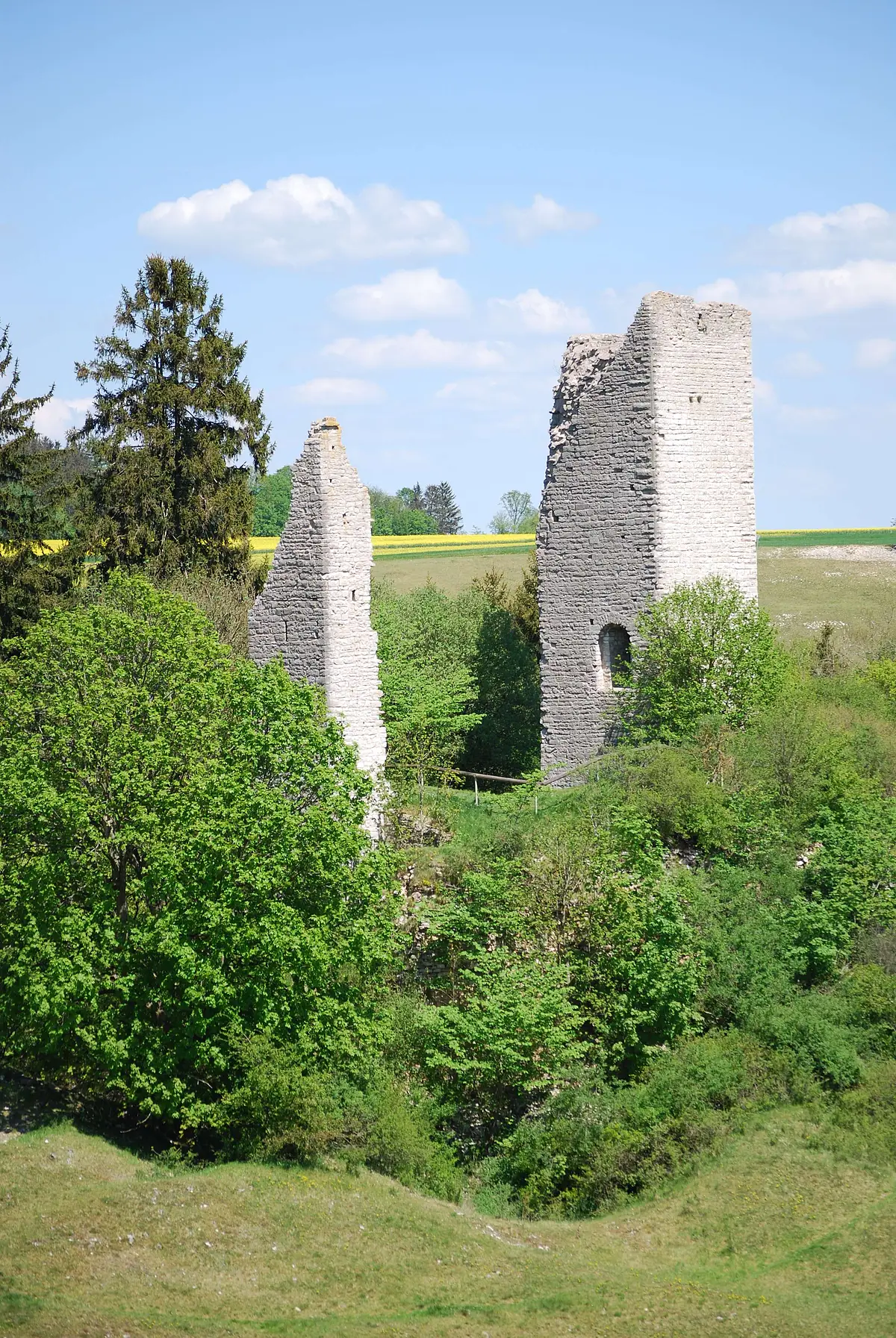 Die Ruine Bechthal