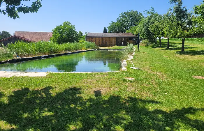 natürlicher Schwimmteich mit 35 m zum abkühlen und schwimmen
