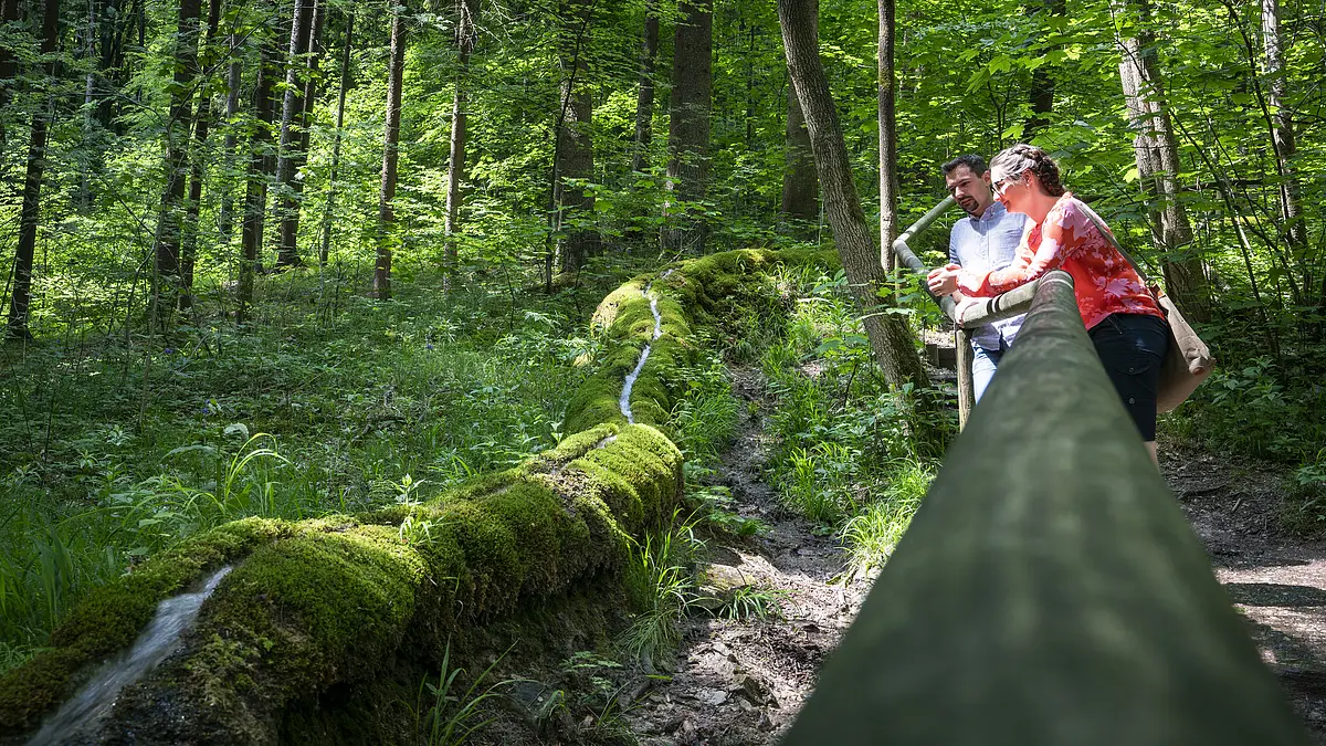 Zwei Personen lehnen an einem Geländer im Wald neben einem moosbedeckten Baumstamm mit Wasserfluss.