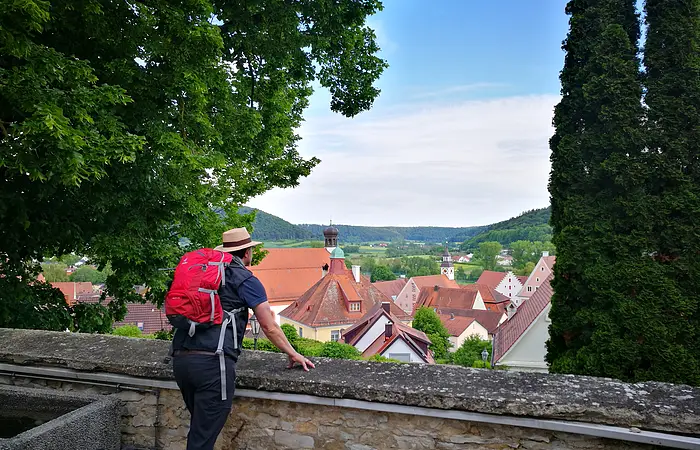 Ein Wanderer mit roten Rucksack steht an einer Mauer und lässt seinen Blick über Greding schweifen. Die Stadt ist von zwei Bäumen eingerahmt.