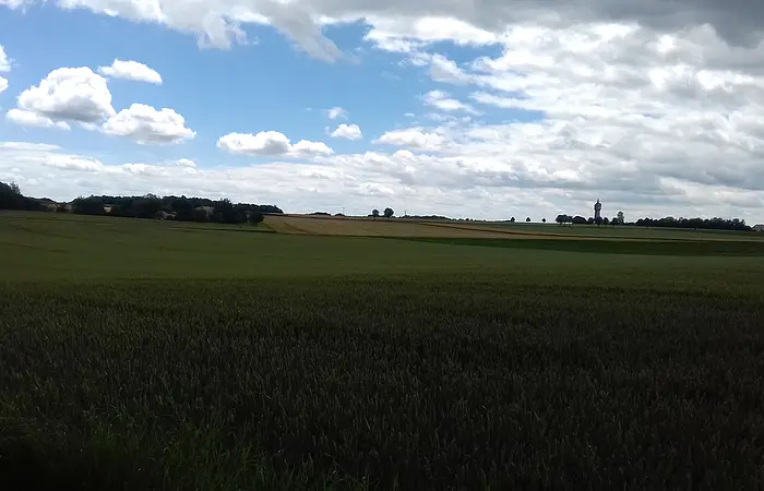 Die Schernfelder Hochfläche mit ihren grünen Wiesen. Im Hintergrund sind einige Gebäude zu erkennen. Der Himmel ist etwas bewölkt.