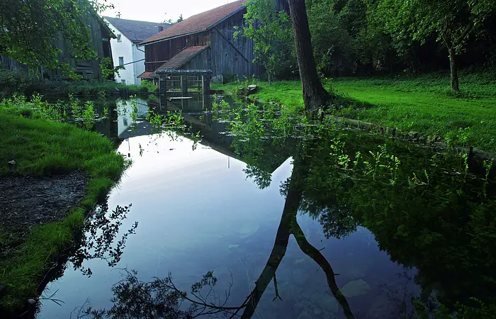 Quellteich des Mühlbachs bei der Obermühle