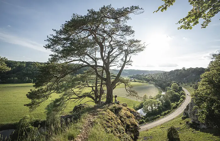 Frau sitzt unter großem Baum auf Felsen mit Blick auf Fluss, Straße und grüne Landschaft bei Sonnenschein.