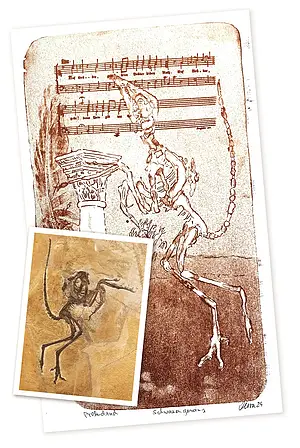 Spuren Urzeit Archaeopteryx