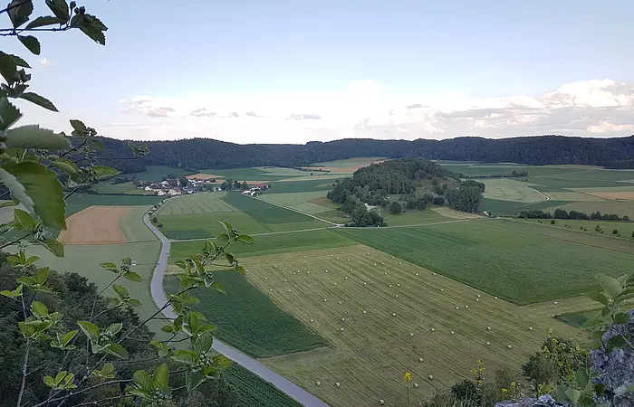 Galgenberg - ein Umlaufberg im Welhheimer Trockental
