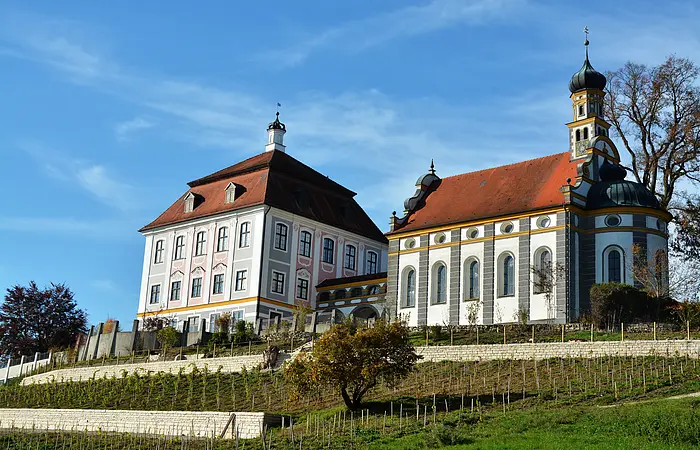 Blick auf das Schloss Leitheim mit davor liegendem Weinberg