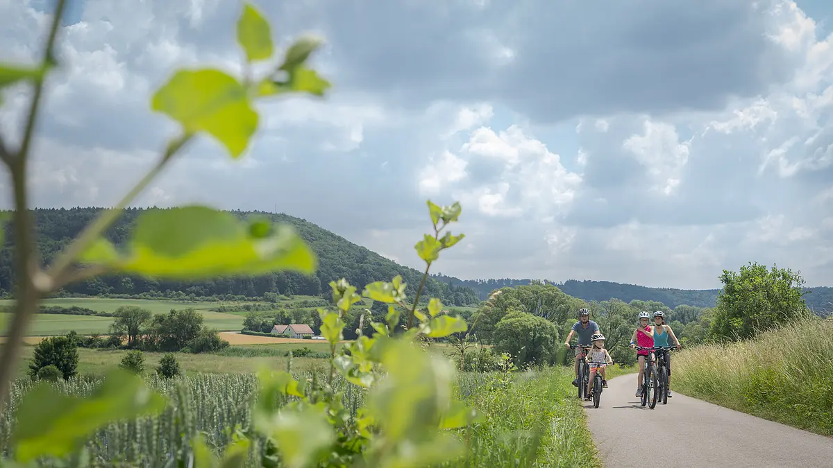 Radweg Greding-Metterndorf