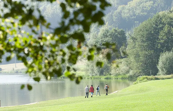 Vier Urlauber wandern direkt am Ufer des Hahnenkammsees bei Hechlingen am günen Ufer entlang.