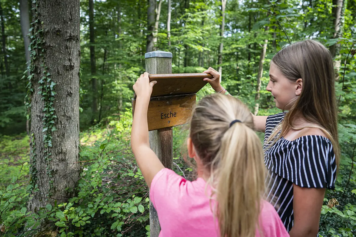 Walderlebnispfad Wemding Zwei Mädchen stehen an einem Schild des Walderlebnispfades.
