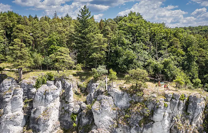 Frontaler Blick auf eine Felspartie der Arnberger Leite auf der eine Familie steht. Im Hintergrund grüner, sommerlicher Wald und blauer Himmel mit weißen Wolken.