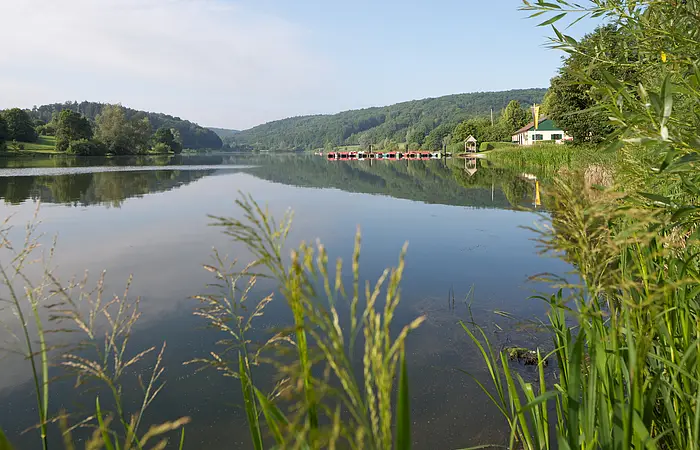 Seeufer mit Schilf im Vordergrund, ruhiger See, bewaldete Hügel im Hintergrund, Gebäude am Ufer.
