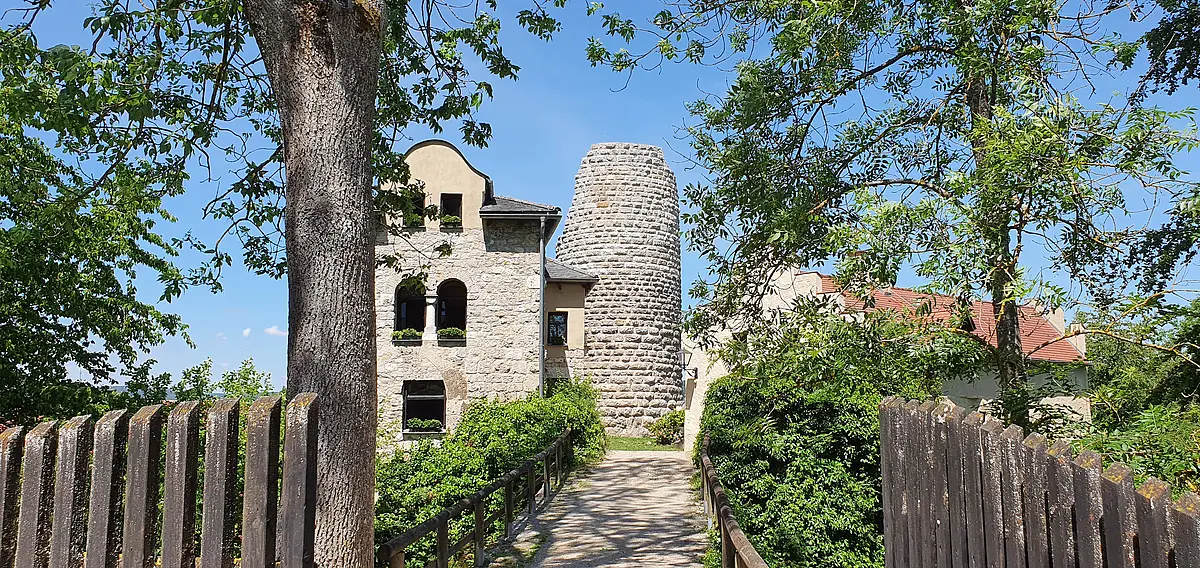Burg Altmannstein Der Eingang zur Burg Altmannstein ist mit einem Holzgeländer eingesäumt. Der weitere Weg ist mit Bäumen und Sträuchern auf beiden Seiten bepflanzt. Es ist der Turm und rechts ein Teil des Wohngebäudes zu erkennen.