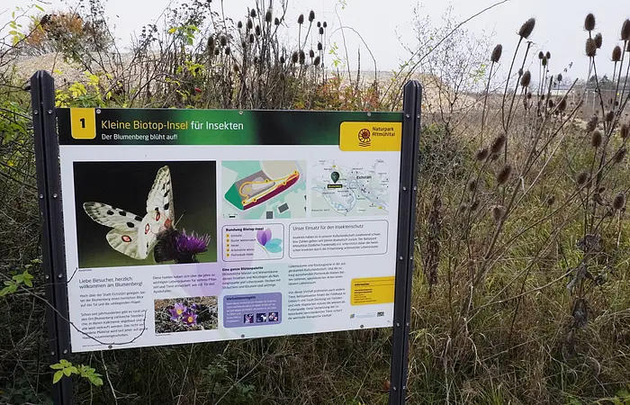 Infotafel „Kleine Biotop-Insel für Insekten“ im Naturpark Rittmühltal mit Text und Bildern zu Insektenschutz.