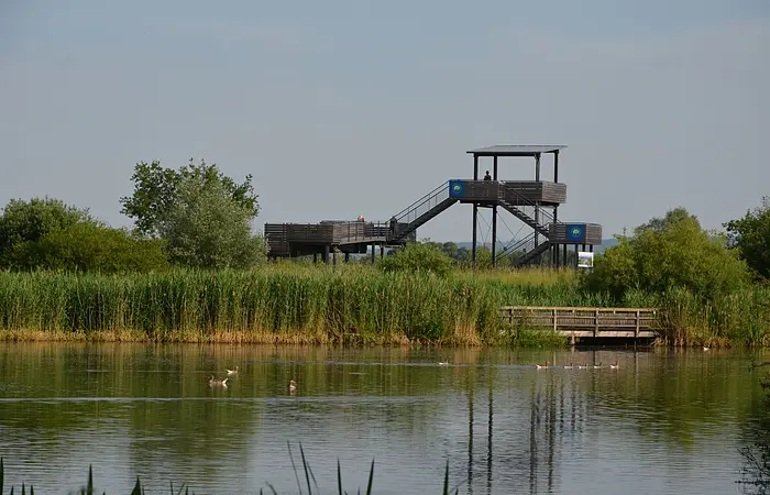 Blick auf den Ausischtturm der Vogelinsel und die Vogelinsel mitten im See.