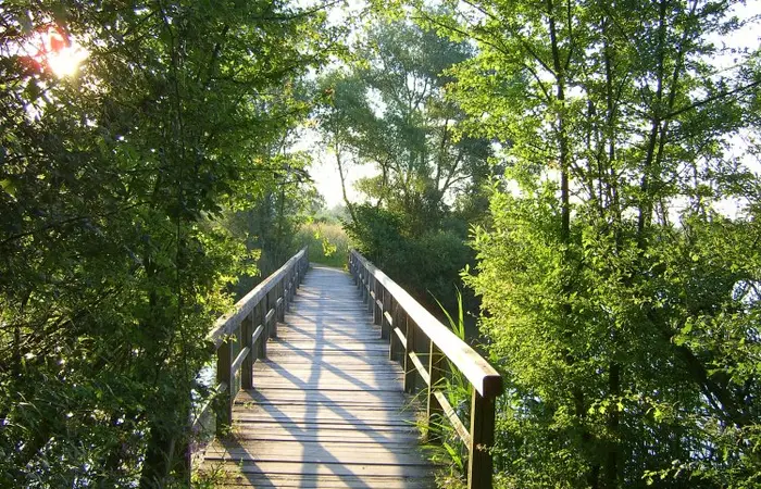 Eine Brücke auf der Vogelinsel über den Altmühlsee.