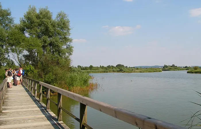 Mehrere Stege sind Teil des Rundweg auf der Vogelinsel.