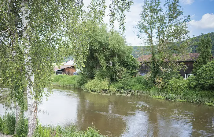 Bei Angelinas Altmühlrast