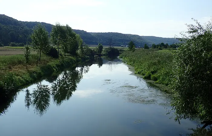 Fluss mit Uferbewuchs und Bäumen, im Hintergrund bewaldete Hügel unter klarem Himmel.