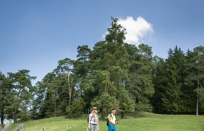 Röglinger Tal