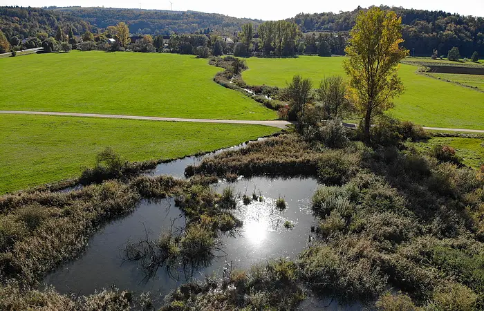 Die Schambach, der Riedbach, fließt Richtung Dietfurt durch grüne Wiesen