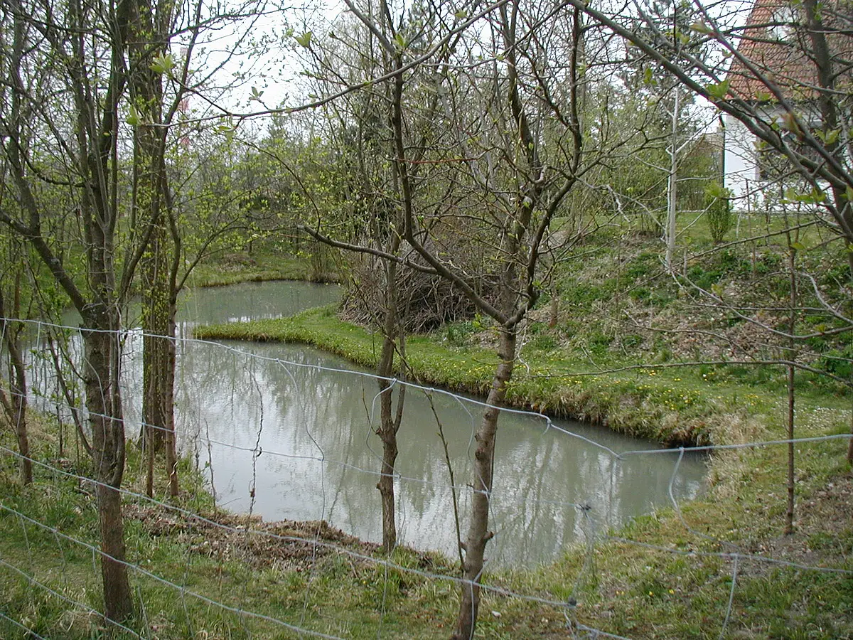 Blick auf den Ringgraben