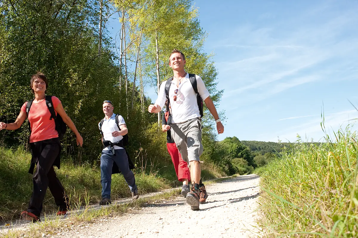 Wandern in Greding Vier Personen wandern auf einem sonnigen Waldweg mit Rucksäcken und Outdoor-Kleidung.