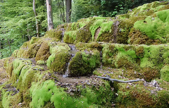 Wanderweg Nr. 4